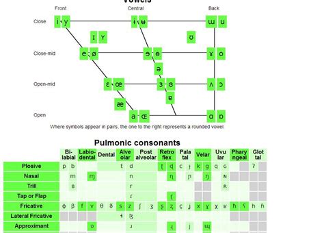 Interactive Ipa Vowel Chart - IMAGESEE