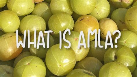 What is Amla fruit? - YouTube