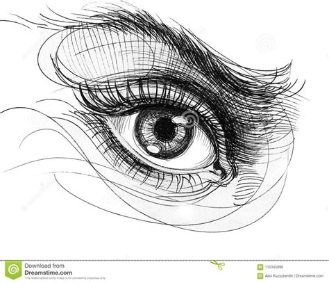 dreamstime.com | Human eye drawing, Eye drawing, Drawings