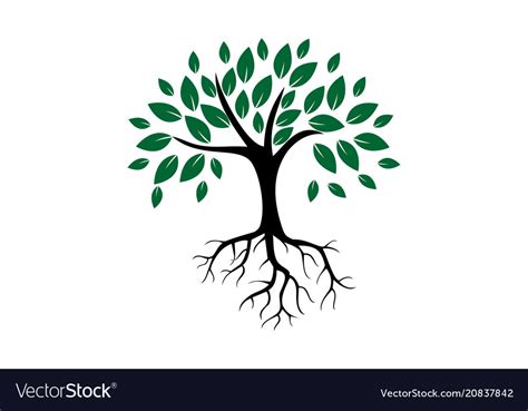 Creative Tree With Roots Logo - Kremi Png