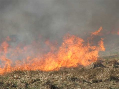 First Brush Fire Of The Season - SteinbachOnline.com - Local news ...