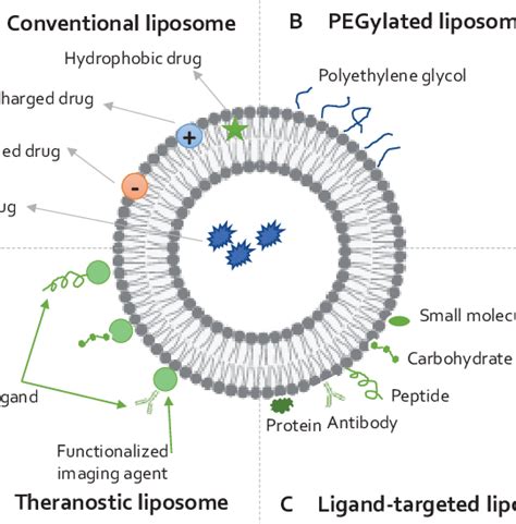 An illustration of different types of liposomal drug delivery systems ...