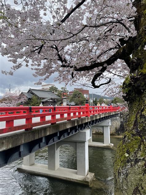 Afternoon in Arashiyama, Kyoto : r/japanpics