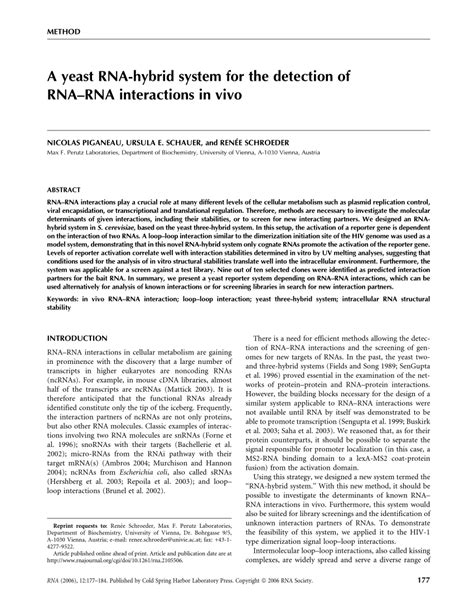 (PDF) A yeast RNA-hybrid system for the detection of RNA-RNA ...