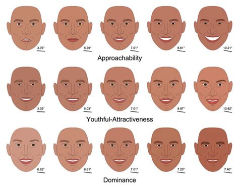 What your cheekbones say about you: Study shows brains make snap judgments on whether to trust a ...