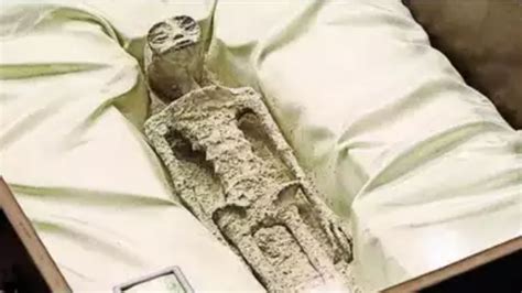 1000-Years Old Alien Corpses Displayed At Mexico’s Congress, Check Details