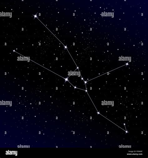 Taurus constellation Stock Vector Art & Illustration, Vector Image ...