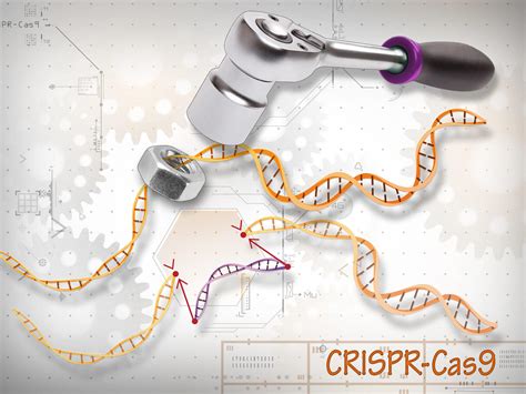 CRISPR-Cas9-gene-editing