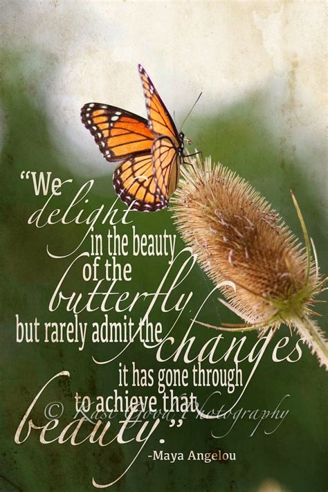 We delight in the beauty of the butterfly... | Butterfly quotes, Maya ...