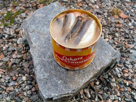 Food-Info.net : What is surströmming