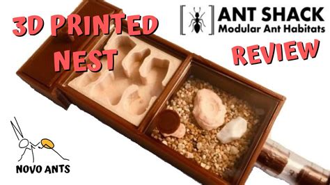 Formica Ant Farm Kit 3D Printed Nest - Unboxing & Review - Ant Shack ...