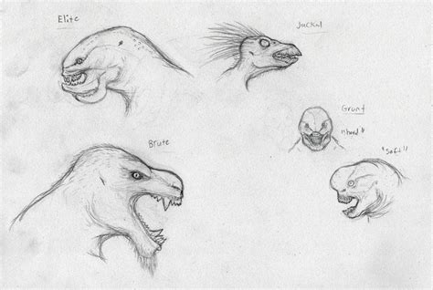 Halo Covenant Races sketches by Quinn-Red on DeviantArt