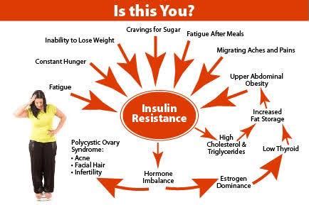 Insulin Resistance and Sensitivity | Fighting Fit