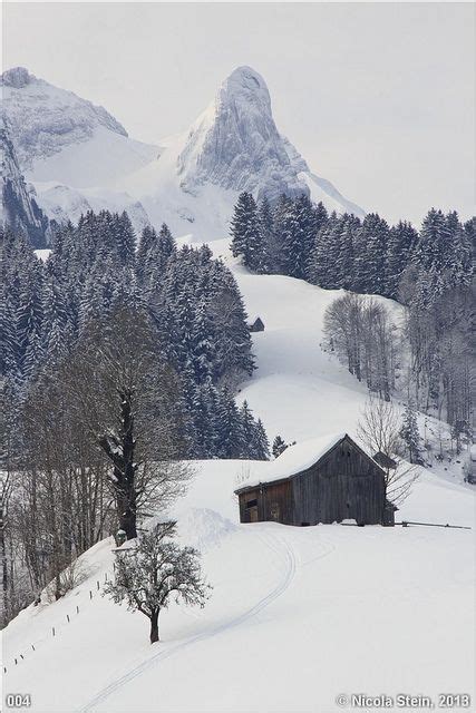 Winter Snow - Appenzell, Switzerland | Winter scenery, Winter landscape, Winter scenes