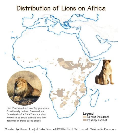 Distribution of lions in Africa. by @725Hemeed - Maps on the Web