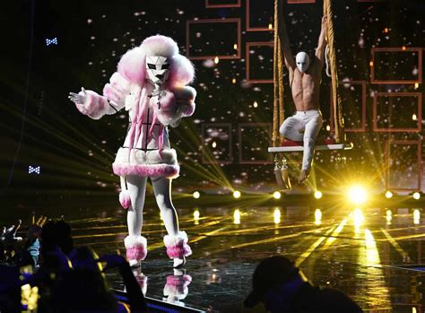 The Masked Singer Reveals Poodle Celebrity Contestant