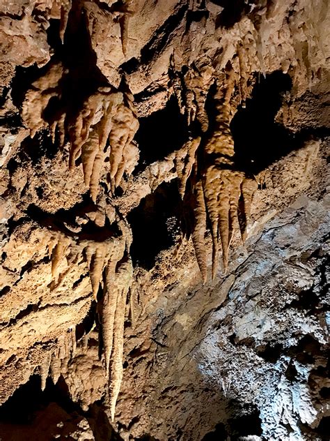 Tour Lake Shasta Caverns National Natural Landmark