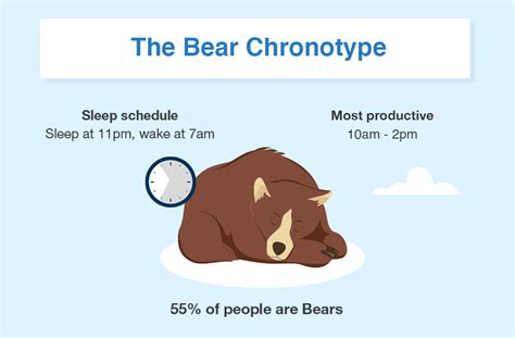 Sleep Chronotype Quiz: Discover Your Official Sleep Pattern