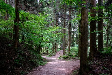 Best Hike Along Japan’s Nakasendo Trail