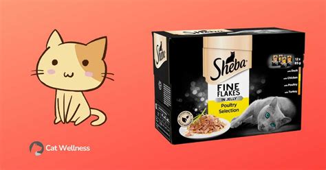 Sheba Cat Food Making Cat Sick: Is It A Myth Or Truth?