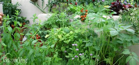 Permaculture Garden Examples | Fasci Garden