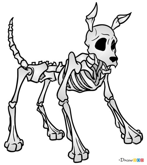 How to Draw Dog Skeleton, Skeletons