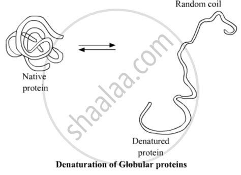 Define the Following with an Example Denatured Protein - Chemistry | Shaalaa.com