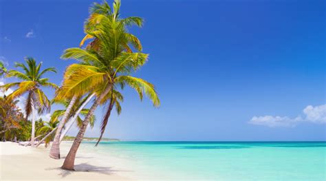 Visit the best beaches of Punta Cana | Catalonia Hotels & Resorts Blog