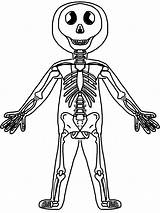 Human Body Systems Coloring Pages  Coloring Home sketch template