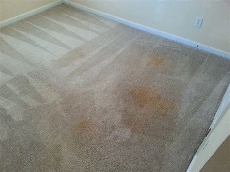 Carpet Cleaning Before & After – Augusta, GA | Mr. Steam Carpet Cleaners