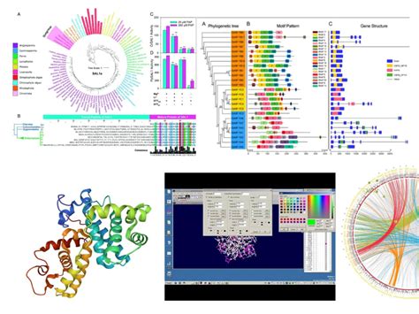 Your bioinformatics data analysis and visualization done professionally | Upwork