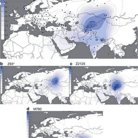 (PDF) The phylogenetic and geographic structure of Y-chromosome haplogroup R1a