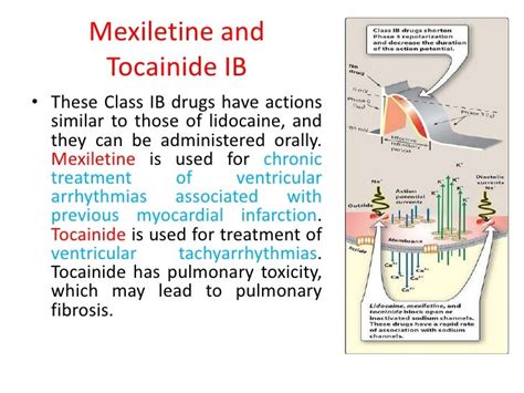 Pharmacology antiarrhythmias
