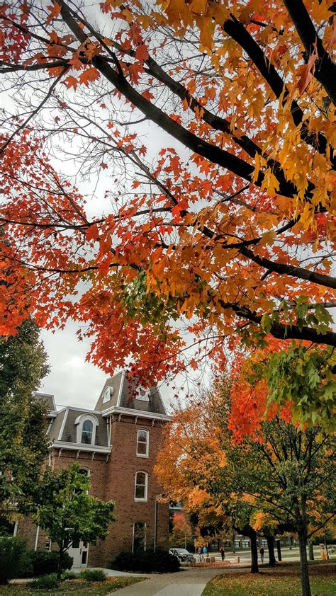 Fall is finally here on campus! (Iowa State University) [2358 x 4191] [OC] http://ift.tt/2l2d5MT ...