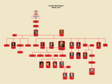 George Washington Family Tree : r/UsefulCharts