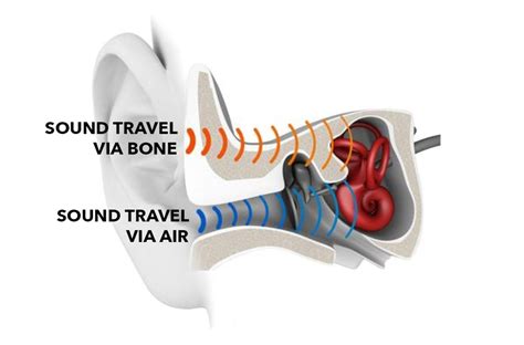 Are Bone Conduction Headphones Safe? | Headphonesty