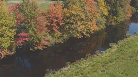 Here's when fall foliage is expected to develop in New England