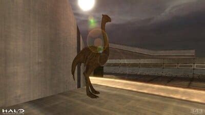 Moa statue - Halopedia, the Halo wiki