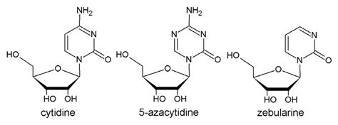 Chemical structures of cytidine and its analogues. | Download ...