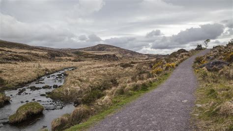 Torc Mountain, Waterfall and Forest | Screen Kerry