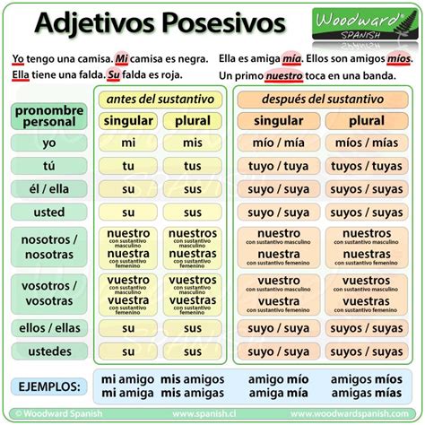 20 best Possessive adjectives/ Showing possession (Los adjetivos ...