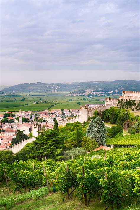 Veneto Wine Guide - Great Italian Chefs