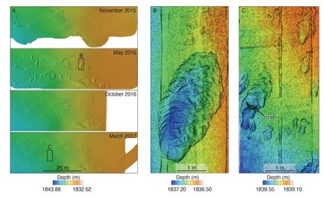 Exploring submarine canyon shaping through innovative MBARI techniques | Hydro International