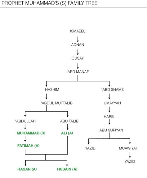 PROPHET MUHAMMAD'S (S) FAMILY TREE Diagram | Quizlet