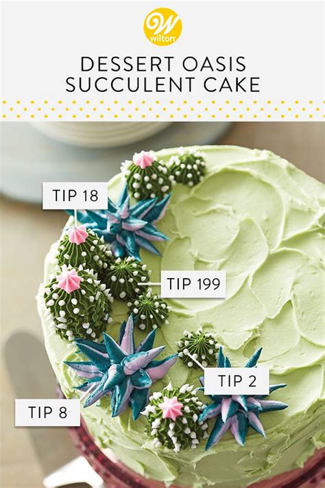 Dessert Oasis Succulent Cake | Recipe | Succulent cake, Savoury cake, Succulent cupcakes