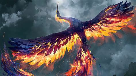 Fenix Mystical, bird, phoenix, HD phone wallpaper | Peakpx