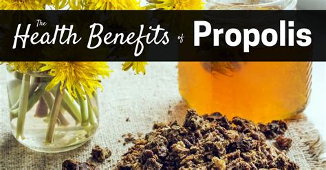 Bee Propolis Benefits