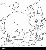 Rabbit Coloring Page For Kids Stock Vector Image & Art  Alamy sketch template