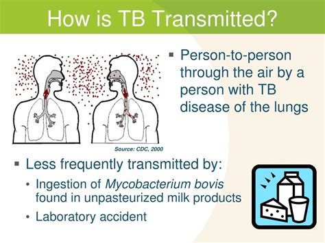 PPT - Tuberculosis Transmission and Pathogenesis PowerPoint ...