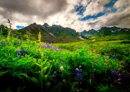 Mountain greenery - Mountains & Nature Background Wallpapers on Desktop Nexus (Image 1969633)